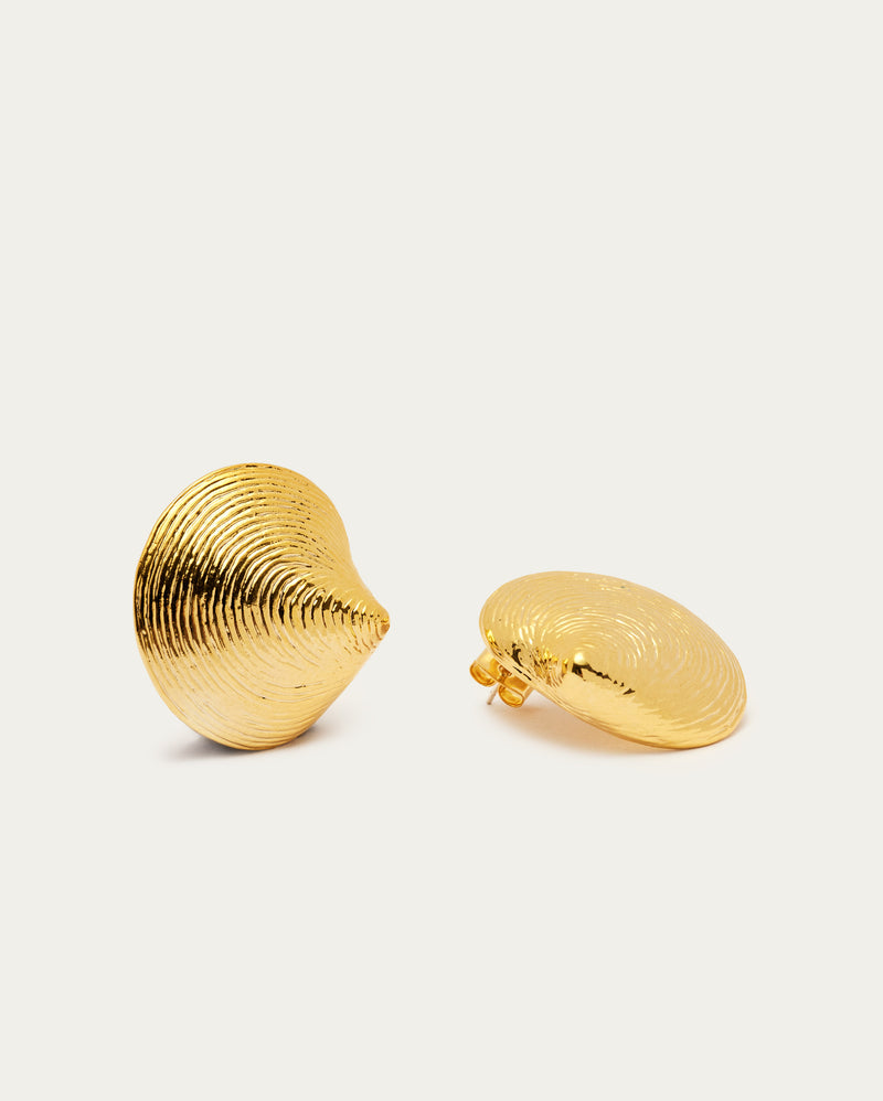 Classic Shell Medium Stud Earrings