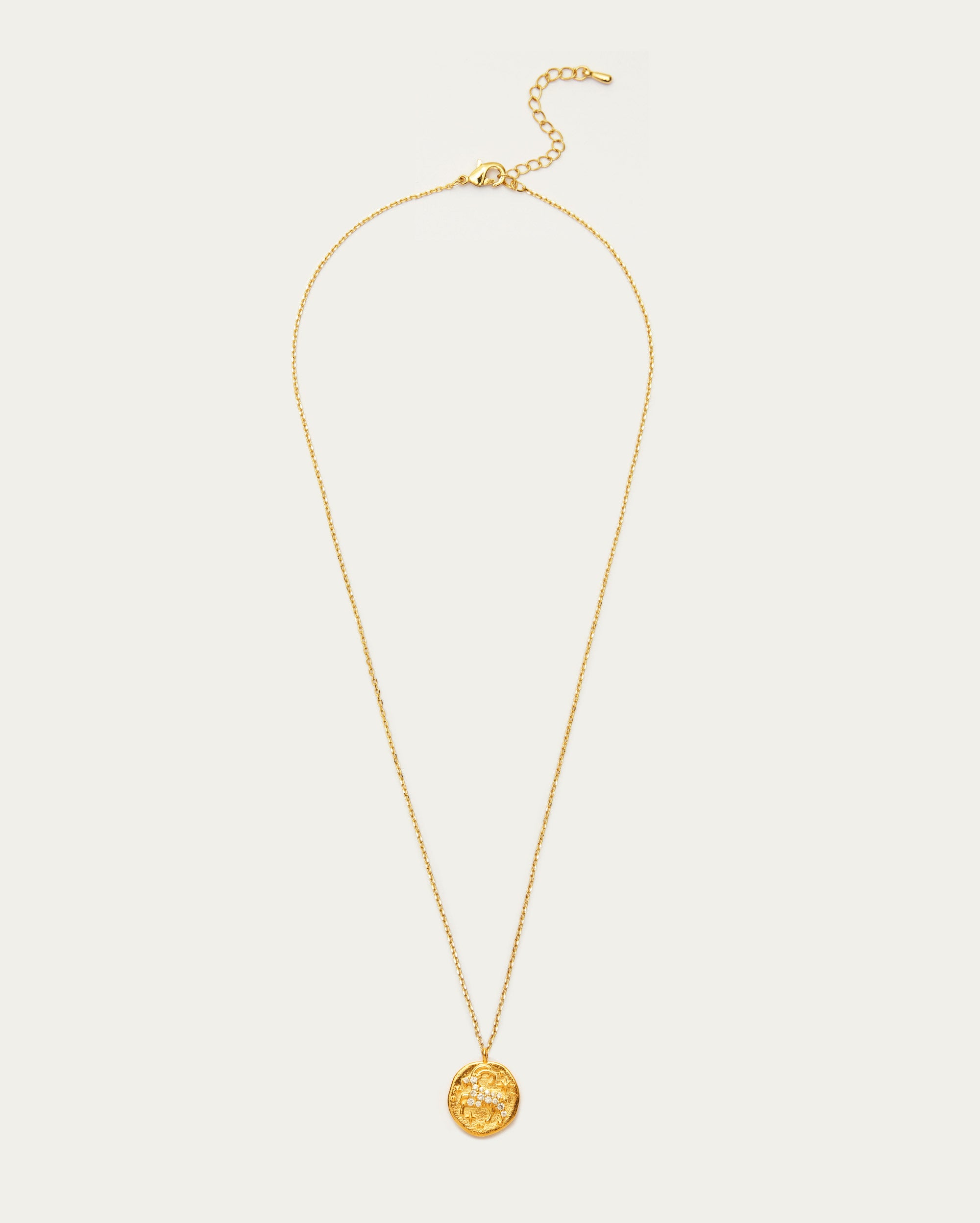Capricorn Zodiac Pendant Necklace
